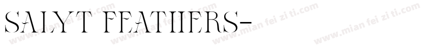 salyt feathers字体转换
